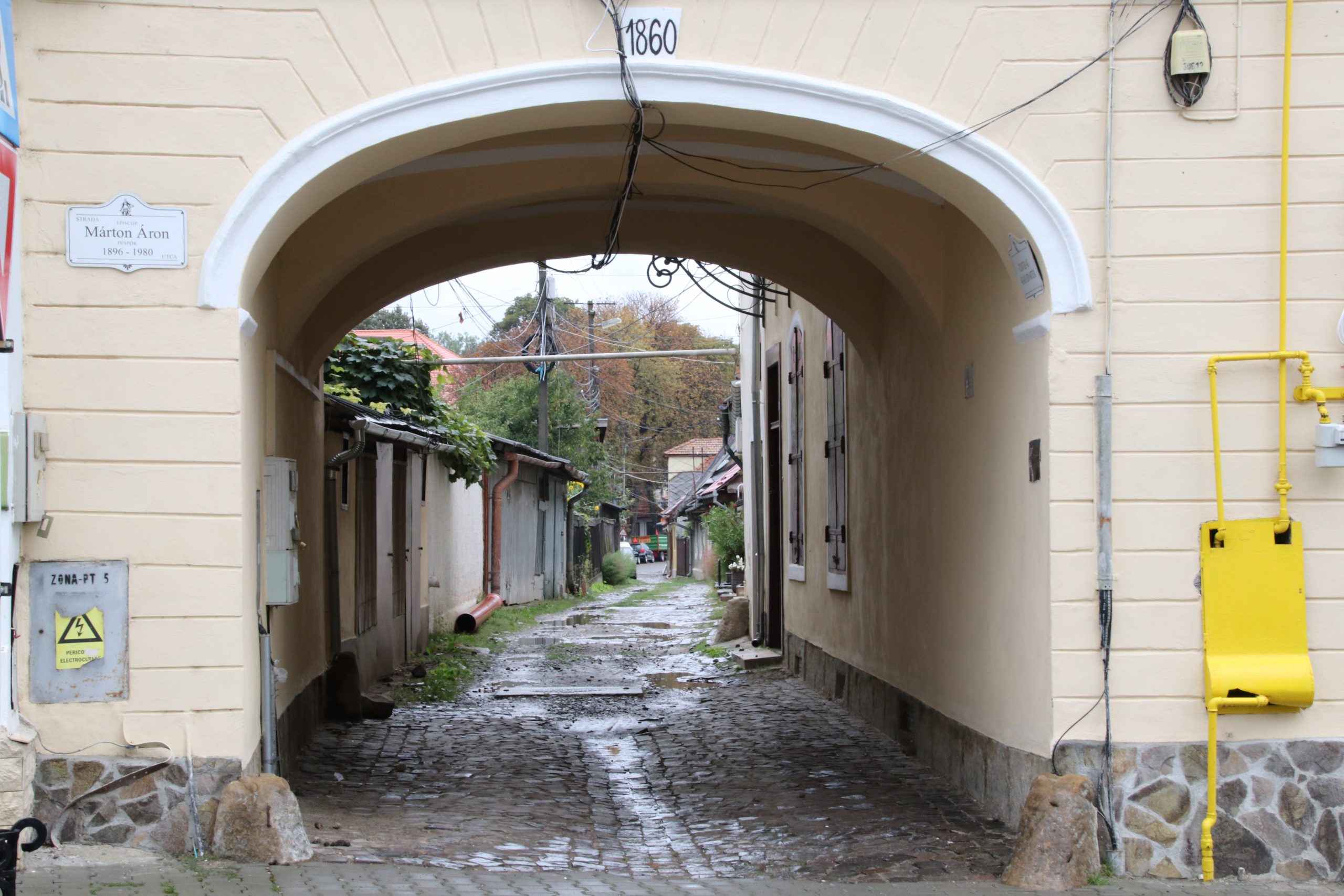 Kicsimama utca